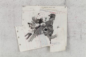 <div class="lightbox-artworktitle">Drawing for The Head & the Load (Flapping Pigeon)</div><div class="lightbox-artworkyear">2018</div><div class="lightbox-artworkdescription">Paper collage, charcoal and red pencil on found ledger pages</div><div class="lightbox-artworkdimension">32.5 x 35 cm</div><div class="lightbox-artworkdimension"></div><div class="lightbox-tagswithlinks"><a rel='nofollow' href='/page/1/?s=%23Charcoal'>#Charcoal</A> <a rel='nofollow' href='/page/1/?s=%23FoundPaper'>#FoundPaper</A> <a rel='nofollow' href='/page/1/?s=%23TheHead&TheLoad'>#TheHead&TheLoad</A></div>