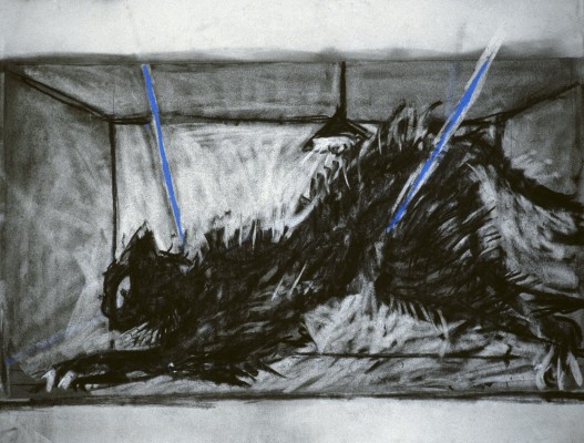 <div class="lightbox-artworktitle">Drawing for the film Stereoscope</div><div class="lightbox-artworkyear">1998-99</div><div class="lightbox-artworkdescription">Charcoal and pastel on paper</div><div class="lightbox-artworkdimension">51 x 66 cm</div><div class="lightbox-artworkdimension"></div><div class="lightbox-tagswithlinks"><a rel='nofollow' href='/page/1/?s=%23Charcoal'>#Charcoal</A> <a rel='nofollow' href='/page/1/?s=%23Paper'>#Paper</A> <a rel='nofollow' href='/page/1/?s=%23DrawingsForProjection'>#DrawingsForProjection</A> <a rel='nofollow' href='/page/1/?s=%23Pastel'>#Pastel</A> <a rel='nofollow' href='/page/1/?s=%23Stereoscope'>#Stereoscope</A></div>