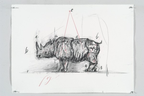 <div class="lightbox-artworktitle">Drawing for The Magic Flute (Indian Rhino)</div><div class="lightbox-artworkyear">2004</div><div class="lightbox-artworkdescription">Charcoal and Coloured pencil on paper</div><div class="lightbox-artworkdimension"></div><div class="lightbox-artworkdimension"></div><div class="lightbox-tagswithlinks"><A rel='nofollow' href='/page/1/?s=%23Charcoal'>#Charcoal</A> <A rel='nofollow' href='/page/1/?s=%23Paper'>#Paper</A> <A rel='nofollow' href='/page/1/?s=%23TheMagicFlute'>#TheMagicFlute</A> <A rel='nofollow' href='/page/1/?s=%23ColouredPencil'>#ColouredPencil</A></div>