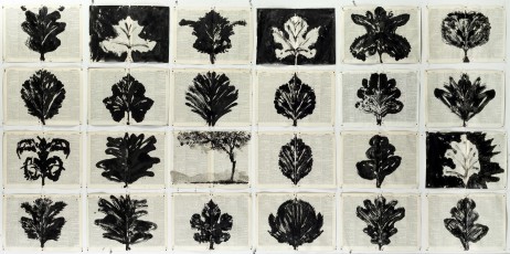 <div class="lightbox-artworktitle">Drawing for Waiting for the Sibyl (Composite of Leaves)</div><div class="lightbox-artworkyear">2019</div><div class="lightbox-artworkdescription">Indian ink on found pages </div><div class="lightbox-artworkdimension">117 x 239 cm</div><div class="lightbox-artworkdimension"></div><div class="lightbox-tagswithlinks"><a rel='nofollow' href='/page/1/?s=%23Ink'>#Ink</A> <a rel='nofollow' href='/page/1/?s=%23FoundPaper'>#FoundPaper</A> <a rel='nofollow' href='/page/1/?s=%23Tree'>#Tree</A> <a rel='nofollow' href='/page/1/?s=%23WaitingForTheSibyl'>#WaitingForTheSibyl</A></div>