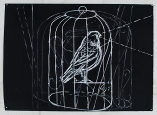 <div class="lightbox-artworktitle">Drawing for The Magic Flute (Bird in Cage)</div><div class="lightbox-artworkyear">2004</div><div class="lightbox-artworkdescription">Chalk and Poster paint on paper</div><div class="lightbox-artworkdimension"></div><div class="lightbox-artworkdimension"></div><div class="lightbox-tagswithlinks"><A rel='nofollow' href='/page/1/?s=%23Paper'>#Paper</A> <A rel='nofollow' href='/page/1/?s=%23TheMagicFlute'>#TheMagicFlute</A> <A rel='nofollow' href='/page/1/?s=%23PosterPaint'>#PosterPaint</A> <A rel='nofollow' href='/page/1/?s=%23Chalk'>#Chalk</A></div>