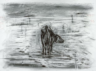 <div class="lightbox-artworktitle">Drawing for the film Tide Table</div><div class="lightbox-artworkyear">2003</div><div class="lightbox-artworkdescription">Charcoal on paper</div><div class="lightbox-artworkdimension"></div><div class="lightbox-artworkdimension"></div><div class="lightbox-tagswithlinks"><a rel='nofollow' href='/page/1/?s=%23Charcoal'>#Charcoal</A> <a rel='nofollow' href='/page/1/?s=%23Paper'>#Paper</A> <a rel='nofollow' href='/page/1/?s=%23DrawingsForProjection'>#DrawingsForProjection</A> <a rel='nofollow' href='/page/1/?s=%23TideTable'>#TideTable</A></div>