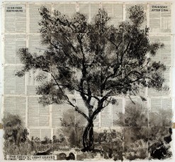 <div class="lightbox-artworktitle">25 km from Rustenburg</div><div class="lightbox-artworkyear">2013</div><div class="lightbox-artworkdescription">Indian ink on Universal Technological Dictionary pages</div><div class="lightbox-artworkdimension">127 x 136 cm</div><div class="lightbox-artworkdimension"></div><div class="lightbox-tagswithlinks"><a rel='nofollow' href='/page/1/?s=%23Ink'>#Ink</A> <a rel='nofollow' href='/page/1/?s=%23FoundPaper'>#FoundPaper</A> <a rel='nofollow' href='/page/1/?s=%23Tree'>#Tree</A> <a rel='nofollow' href='/page/1/?s=%23Text'>#Text</A></div>