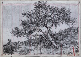 <div class="lightbox-artworktitle">Bushveld Tree (lean)</div><div class="lightbox-artworkyear">2024</div><div class="lightbox-artworkdescription">Charcoal and coloured pencil on found pages</div><div class="lightbox-artworkdimension">46.5 x 66.5 cm</div><div class="lightbox-artworkdimension"></div>