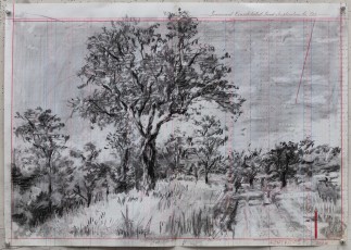 <div class="lightbox-artworktitle">Bushveld Tree (road)</div><div class="lightbox-artworkyear">2024</div><div class="lightbox-artworkdescription">Charcoal and coloured pencil on found pages</div><div class="lightbox-artworkdimension">46.5 x 66.5 cm</div><div class="lightbox-artworkdimension"></div>