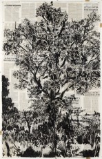 <div class="lightbox-artworktitle">2nd Hand Reading</div><div class="lightbox-artworkyear">2013</div><div class="lightbox-artworkdescription">Indian ink on Universal Technological Dictionary pages</div><div class="lightbox-artworkdimension">178 x 113 cm</div><div class="lightbox-artworkdimension"></div><div class="lightbox-tagswithlinks"><a rel='nofollow' href='/page/1/?s=%23Ink'>#Ink</A> <a rel='nofollow' href='/page/1/?s=%23FoundPaper'>#FoundPaper</A> <a rel='nofollow' href='/page/1/?s=%23Tree'>#Tree</A> <a rel='nofollow' href='/page/1/?s=%23Text'>#Text</A></div>