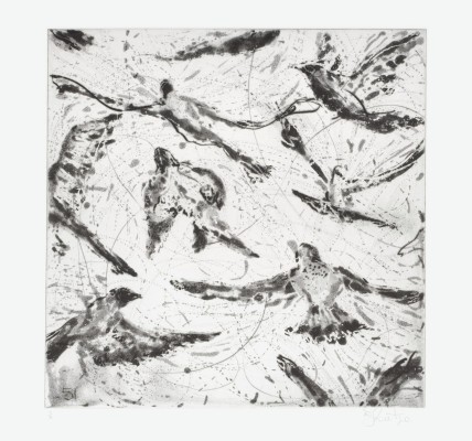 <div class="lightbox-artworktitle">Bird Catching (5. Many birds)</div><div class="lightbox-artworkyear">2006</div><div class="lightbox-artworkdescription">Drypoint and Aquatint on Hahnemühle, Warm White 300</div><div class="lightbox-artworkdimension">47 x 47 cm</div><div class="lightbox-artworkdimension">Edition of 18</div><div class="lightbox-tagswithlinks"><A href='/page/1/?s=%23Paper'>#Paper</A> <A href='/page/1/?s=%23Series'>#Series</A> <A href='/page/1/?s=%23Edition'>#Edition</A> <A href='/page/1/?s=%23TheMagicFlute'>#TheMagicFlute</A> <A href='/page/1/?s=%23Drypoint'>#Drypoint</A> <A href='/page/1/?s=%23Aquatint'>#Aquatint</A></div>