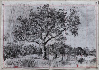 <div class="lightbox-artworktitle">Bushveld Tree (markers)</div><div class="lightbox-artworkyear">2024</div><div class="lightbox-artworkdescription">Charcoal and coloured pencil on found pages</div><div class="lightbox-artworkdimension">46.5 x 66.5 cm</div><div class="lightbox-artworkdimension"></div>