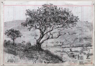 <div class="lightbox-artworktitle">Bushveld Tree (hillside)</div><div class="lightbox-artworkyear">2024</div><div class="lightbox-artworkdescription">Charcoal and coloured pencil on found pages</div><div class="lightbox-artworkdimension">46.5 x 66.5 cm</div><div class="lightbox-artworkdimension"></div>