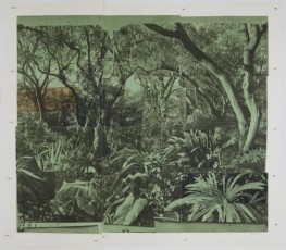 <div class="lightbox-artworktitle">Citizens, What Have They Done with All the Air I</div><div class="lightbox-artworkyear">2024</div><div class="lightbox-artworkdescription">Photopolymer and Chine collé on Hahnemühle, Natural White 300</div><div class="lightbox-artworkdimension">153 x 178 cm</div><div class="lightbox-artworkdimension">Edition of 12</div>