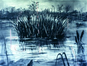 <div class="lightbox-artworktitle">Reeds</div><div class="lightbox-artworkyear">1995-96</div><div class="lightbox-artworkdescription">Charcoal and pastel</div><div class="lightbox-artworkdimension">120 x 160 cm</div><div class="lightbox-artworkdimension"></div><div class="lightbox-tagswithlinks"><a rel='nofollow' href='/page/1/?s=%23Charcoal'>#Charcoal</A> <a rel='nofollow' href='/page/1/?s=%23Paper'>#Paper</A> <a rel='nofollow' href='/page/1/?s=%23Landscape'>#Landscape</A> <a rel='nofollow' href='/page/1/?s=%23Series'>#Series</A> <a rel='nofollow' href='/page/1/?s=%23ColonialLandscapes'>#ColonialLandscapes</A></div>