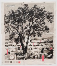 <div class="lightbox-artworktitle">Comfort in the Dapple</div><div class="lightbox-artworkyear">2021</div><div class="lightbox-artworkdescription">Indian ink, Coloured pencil, Digital print and Collage on paper</div><div class="lightbox-artworkdimension"></div><div class="lightbox-artworkdimension"></div><div class="lightbox-tagswithlinks"><A rel='nofollow' href='/page/1/?s=%23Ink'>#Ink</A> <A rel='nofollow' href='/page/1/?s=%23Paper'>#Paper</A> <A rel='nofollow' href='/page/1/?s=%23Tree'>#Tree</A> <A rel='nofollow' href='/page/1/?s=%23Series'>#Series</A> <A rel='nofollow' href='/page/1/?s=%23Collage'>#Collage</A> <A rel='nofollow' href='/page/1/?s=%23ColouredPencil'>#ColouredPencil</A> <A rel='nofollow' href='/page/1/?s=%23DigitalPrint'>#DigitalPrint</A></div>