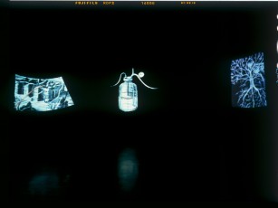 <div class="lightbox-artworktitle">Ulisse - Echo Triptych (Scan, Slide, Bottle)</div><div class="lightbox-artworkyear">1998</div><div class="lightbox-artworkdescription">3 animated films, 35 mm film, transferred to video and DVD</div><div class="lightbox-artworkdimension">Scan: 2 mins; Slide: 8 mins; Bottle: 6 mins</div><div class="lightbox-artworkdimension">Edition of 4</div><div class="lightbox-tagswithlinks"><A rel='nofollow' href='/page/1/?s=%23Charcoal'>#Charcoal</A> <A rel='nofollow' href='/page/1/?s=%23Edition'>#Edition</A> <A rel='nofollow' href='/page/1/?s=%23MultipleChannel'>#MultipleChannel</A> <A rel='nofollow' href='/page/1/?s=%23Animation'>#Animation</A> <A>#IlRitornod'Ulisse</A></div>