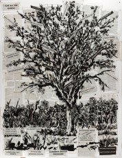 <div class="lightbox-artworktitle">For all we know nothing is watching. Not even a star</div><div class="lightbox-artworkyear">2013</div><div class="lightbox-artworkdescription">Indian ink and printed texts collage on Universal Technological Dictionary pages</div><div class="lightbox-artworkdimension">160 x 121.5 cm</div><div class="lightbox-artworkdimension"></div><div class="lightbox-tagswithlinks"><a rel='nofollow' href='/page/1/?s=%23Ink'>#Ink</A> <a rel='nofollow' href='/page/1/?s=%23FoundPaper'>#FoundPaper</A> <a rel='nofollow' href='/page/1/?s=%23Tree'>#Tree</A> <a rel='nofollow' href='/page/1/?s=%23Text'>#Text</A></div>