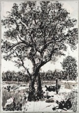 <div class="lightbox-artworktitle">Good Brush, Bad Brush</div><div class="lightbox-artworkyear">2013</div><div class="lightbox-artworkdescription">Indian ink on Korean paper</div><div class="lightbox-artworkdimension">214 x 150 cm</div><div class="lightbox-artworkdimension"></div><div class="lightbox-tagswithlinks"><a rel='nofollow' href='/page/1/?s=%23Ink'>#Ink</A> <a rel='nofollow' href='/page/1/?s=%23FoundPaper'>#FoundPaper</A> <a rel='nofollow' href='/page/1/?s=%23Tree'>#Tree</A> <a rel='nofollow' href='/page/1/?s=%23Text'>#Text</A></div>