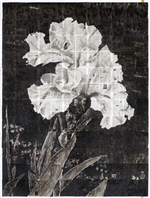 <div class="lightbox-artworktitle">Untitled (White Iris)</div><div class="lightbox-artworkyear">2014</div><div class="lightbox-artworkdescription">Indian ink on dictionary pages</div><div class="lightbox-artworkdimension">346 x 250 cm</div><div class="lightbox-artworkdimension"></div><div class="lightbox-tagswithlinks"><A rel='nofollow' href='/page/1/?s=%23Ink'>#Ink</A> <A rel='nofollow' href='/page/1/?s=%23FoundPaper'>#FoundPaper</A> <A rel='nofollow' href='/page/1/?s=%23Flower'>#Flower</A> <A rel='nofollow' href='/page/1/?s=%23NotesTowardsAModelOpera'>#NotesTowardsAModelOpera</A></div>