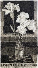 <div class="lightbox-artworktitle">Untitled (Listen for the Echo)</div><div class="lightbox-artworkyear">2015</div><div class="lightbox-artworkdescription">Indian ink on dictionary pages</div><div class="lightbox-artworkdimension">380 x 215 cm</div><div class="lightbox-artworkdimension"></div><div class="lightbox-tagswithlinks"><a rel='nofollow' href='/page/1/?s=%23Ink'>#Ink</A> <a rel='nofollow' href='/page/1/?s=%23FoundPaper'>#FoundPaper</A> <a rel='nofollow' href='/page/1/?s=%23Flower'>#Flower</A> <a rel='nofollow' href='/page/1/?s=%23Text'>#Text</A> <a rel='nofollow' href='/page/1/?s=%23NotesTowardsAModelOpera'>#NotesTowardsAModelOpera</A></div>