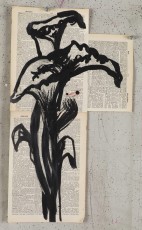 <div class="lightbox-artworktitle">Drawing for More Sweetly Play the Dance (Lilies)</div><div class="lightbox-artworkyear">2014</div><div class="lightbox-artworkdescription">Indian ink, Coloured pencil and Charcoal on found paper</div><div class="lightbox-artworkdimension">Approx. 52 x 30 cm</div><div class="lightbox-artworkdimension"></div><div class="lightbox-tagswithlinks"><A rel='nofollow' href='/page/1/?s=%23Ink'>#Ink</A> <A rel='nofollow' href='/page/1/?s=%23FoundPaper'>#FoundPaper</A> <A rel='nofollow' href='/page/1/?s=%23ColouredPencil'>#ColouredPencil</A> <A rel='nofollow' href='/page/1/?s=%23MoreSweetlyPlayTheDance'>#MoreSweetlyPlayTheDance</A></div>