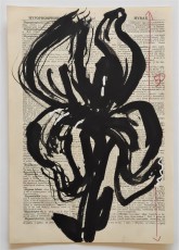 <div class="lightbox-artworktitle">Drawing for More Sweetly Play the Dance (Iris)</div><div class="lightbox-artworkyear">2014</div><div class="lightbox-artworkdescription">Indian ink, Coloured pencil and Correction fluid on found paper</div><div class="lightbox-artworkdimension">27 x 19 cm</div><div class="lightbox-artworkdimension"></div><div class="lightbox-tagswithlinks"><A rel='nofollow' href='/page/1/?s=%23Ink'>#Ink</A> <A rel='nofollow' href='/page/1/?s=%23FoundPaper'>#FoundPaper</A> <A rel='nofollow' href='/page/1/?s=%23MoreSweetlyPlayTheDance'>#MoreSweetlyPlayTheDance</A></div>