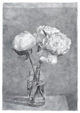 <div class="lightbox-artworktitle">Untitled (Peonies in Flask I)</div><div class="lightbox-artworkyear">2009</div><div class="lightbox-artworkdescription">Charcoal on paper</div><div class="lightbox-artworkdimension"></div><div class="lightbox-artworkdimension"></div><div class="lightbox-tagswithlinks"><A rel='nofollow' href='/page/1/?s=%23Charcoal'>#Charcoal</A> <A rel='nofollow' href='/page/1/?s=%23Paper'>#Paper</A> <A rel='nofollow' href='/page/1/?s=%23Flower'>#Flower</A></div>