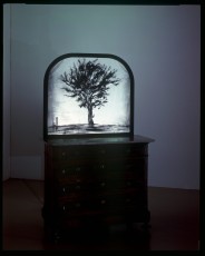 <div class="lightbox-artworktitle">Sleeping on Glass </div><div class="lightbox-artworkyear">1999</div><div class="lightbox-artworkdescription">35mm animated film transferred to video and laser disc, projected onto a dresser</div><div class="lightbox-artworkdimension">8 min 11 sec</div><div class="lightbox-artworkdimension">Edition of 3</div><div class="lightbox-tagswithlinks"><A rel='nofollow' href='/page/1/?s=%23Charcoal'>#Charcoal</A> <A rel='nofollow' href='/page/1/?s=%23Installation'>#Installation</A> <A rel='nofollow' href='/page/1/?s=%23Edition'>#Edition</A> <A rel='nofollow' href='/page/1/?s=%23SingleChannel'>#SingleChannel</A> <A rel='nofollow' href='/page/1/?s=%23Animation'>#Animation</A></div>