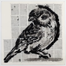<div class="lightbox-artworktitle">Untitled (Eurasian Tree Sparrow)</div><div class="lightbox-artworkyear">2016</div><div class="lightbox-artworkdescription">Indian ink on found paper</div><div class="lightbox-artworkdimension"></div><div class="lightbox-artworkdimension"></div><div class="lightbox-tagswithlinks"><A rel='nofollow' href='/page/1/?s=%23Ink'>#Ink</A> <A rel='nofollow' href='/page/1/?s=%23FoundPaper'>#FoundPaper</A> <A rel='nofollow' href='/page/1/?s=%23NotesTowardsAModelOpera'>#NotesTowardsAModelOpera</A></div>