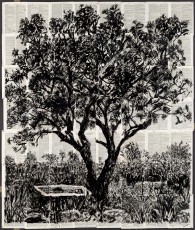 <div class="lightbox-artworktitle">The Death of Trees</div><div class="lightbox-artworkyear">2013</div><div class="lightbox-artworkdescription">Indian ink on Universal Technological Dictionary pages</div><div class="lightbox-artworkdimension">180 x 155 cm</div><div class="lightbox-artworkdimension"></div><div class="lightbox-tagswithlinks"><a rel='nofollow' href='/page/1/?s=%23Ink'>#Ink</A> <a rel='nofollow' href='/page/1/?s=%23FoundPaper'>#FoundPaper</A> <a rel='nofollow' href='/page/1/?s=%23Tree'>#Tree</A> <a rel='nofollow' href='/page/1/?s=%23Text'>#Text</A></div>