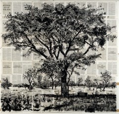 <div class="lightbox-artworktitle">The Shrapnel in the Woods</div><div class="lightbox-artworkyear">2013</div><div class="lightbox-artworkdescription">Indian ink on Universal Technological Dictionary pages</div><div class="lightbox-artworkdimension">210 x 220 cm</div><div class="lightbox-artworkdimension"></div><div class="lightbox-tagswithlinks"><a rel='nofollow' href='/page/1/?s=%23Ink'>#Ink</A> <a rel='nofollow' href='/page/1/?s=%23FoundPaper'>#FoundPaper</A> <a rel='nofollow' href='/page/1/?s=%23Tree'>#Tree</A> <a rel='nofollow' href='/page/1/?s=%23Text'>#Text</A></div>