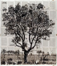 <div class="lightbox-artworktitle">The Uses of a Tree</div><div class="lightbox-artworkyear">2013</div><div class="lightbox-artworkdescription">Indian ink on Universal Technological Dictionary</div><div class="lightbox-artworkdimension">153 x 198 cm</div><div class="lightbox-artworkdimension"></div><div class="lightbox-tagswithlinks"><a rel='nofollow' href='/page/1/?s=%23Ink'>#Ink</A> <a rel='nofollow' href='/page/1/?s=%23FoundPaper'>#FoundPaper</A> <a rel='nofollow' href='/page/1/?s=%23Tree'>#Tree</A> <a rel='nofollow' href='/page/1/?s=%23Text'>#Text</A></div>