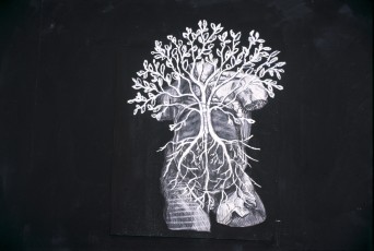 <div class="lightbox-artworktitle">Drawing for the film Il Ritorno d'Ulisse (Tree and Torso)</div><div class="lightbox-artworkyear">1998</div><div class="lightbox-artworkdescription">Charcoal, chalk and poster paint on paper</div><div class="lightbox-artworkdimension"></div><div class="lightbox-artworkdimension"></div><div class="lightbox-tagswithlinks"><a rel='nofollow' href='/page/1/?s=%23Charcoal'>#Charcoal</A> <a rel='nofollow' href='/page/1/?s=%23Paper'>#Paper</A> <A>#IlRitornod'Ulisse</A> <a rel='nofollow' href='/page/1/?s=%23PosterPaint'>#PosterPaint</A></div>