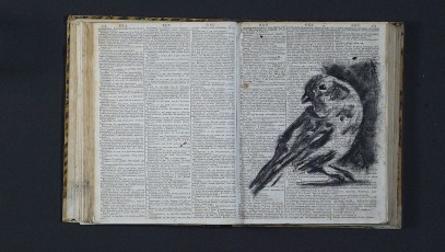 <div class="lightbox-artworktitle">Soft Dictionary</div><div class="lightbox-artworkyear">2016</div><div class="lightbox-artworkdescription">HD Video</div><div class="lightbox-artworkdimension">2 min 44 sec</div><div class="lightbox-artworkdimension">Edition of 9</div><div class="lightbox-tagswithlinks"><A rel='nofollow' href='/page/1/?s=%23Charcoal'>#Charcoal</A> <A rel='nofollow' href='/page/1/?s=%23Series'>#Series</A> <A rel='nofollow' href='/page/1/?s=%23Edition'>#Edition</A> <A rel='nofollow' href='/page/1/?s=%23Animation'>#Animation</A> <A rel='nofollow' href='/page/1/?s=%23LiveAction'>#LiveAction</A> <A rel='nofollow' href='/page/1/?s=%23FlipBook'>#FlipBook</A></div>