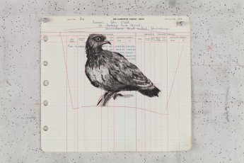 <div class="lightbox-artworktitle">Drawing for The Head & the Load (Pigeon on Branch)</div><div class="lightbox-artworkyear">2018</div><div class="lightbox-artworkdescription">Charcoal and red pencil on found ledger pages</div><div class="lightbox-artworkdimension">28 x 31 cm</div><div class="lightbox-artworkdimension"></div><div class="lightbox-tagswithlinks"><a rel='nofollow' href='/page/1/?s=%23Charcoal'>#Charcoal</A> <a rel='nofollow' href='/page/1/?s=%23FoundPaper'>#FoundPaper</A> <a rel='nofollow' href='/page/1/?s=%23TheHead&TheLoad'>#TheHead&TheLoad</A></div>