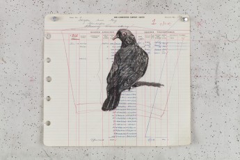 <div class="lightbox-artworktitle">Drawing for The Head & the Load (Pigeon with Head Turned)</div><div class="lightbox-artworkyear">2018</div><div class="lightbox-artworkdescription">Pigeon with Head Turned</div><div class="lightbox-artworkdimension">28 x 31 cm</div><div class="lightbox-artworkdimension"></div><div class="lightbox-tagswithlinks"><a rel='nofollow' href='/page/1/?s=%23Charcoal'>#Charcoal</A> <a rel='nofollow' href='/page/1/?s=%23FoundPaper'>#FoundPaper</A> <a rel='nofollow' href='/page/1/?s=%23TheHead&TheLoad'>#TheHead&TheLoad</A></div>