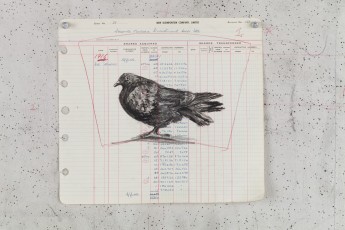<div class="lightbox-artworktitle">Drawing for The Head & the Load (Pigeon with Splayed Tail)</div><div class="lightbox-artworkyear">2018</div><div class="lightbox-artworkdescription">Pigeon with Splayed Tail</div><div class="lightbox-artworkdimension">28 x 31 cm</div><div class="lightbox-artworkdimension"></div><div class="lightbox-tagswithlinks"><a rel='nofollow' href='/page/1/?s=%23Charcoal'>#Charcoal</A> <a rel='nofollow' href='/page/1/?s=%23FoundPaper'>#FoundPaper</A> <a rel='nofollow' href='/page/1/?s=%23TheHead&TheLoad'>#TheHead&TheLoad</A></div>