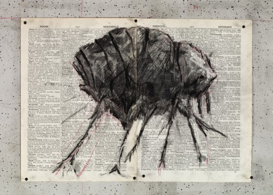 <div class="lightbox-artworktitle">Drawing for The Head & the Load (Flea)</div><div class="lightbox-artworkyear">2018</div><div class="lightbox-artworkdescription">Charcoal and red pencil on found pages</div><div class="lightbox-artworkdimension">27 x 38.5 cm</div><div class="lightbox-artworkdimension"></div><div class="lightbox-tagswithlinks"><a rel='nofollow' href='/page/1/?s=%23Charcoal'>#Charcoal</A> <a rel='nofollow' href='/page/1/?s=%23FoundPaper'>#FoundPaper</A> <a rel='nofollow' href='/page/1/?s=%23TheHead&TheLoad'>#TheHead&TheLoad</A></div>