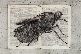 <div class="lightbox-artworktitle">Drawing for The Head & the Load (Tsetse Fly)</div><div class="lightbox-artworkyear">2018</div><div class="lightbox-artworkdescription">Charcoal and red pencil on found pages</div><div class="lightbox-artworkdimension">27 x 38.5 cm</div><div class="lightbox-artworkdimension"></div><div class="lightbox-tagswithlinks"><a rel='nofollow' href='/page/1/?s=%23Charcoal'>#Charcoal</A> <a rel='nofollow' href='/page/1/?s=%23FoundPaper'>#FoundPaper</A> <a rel='nofollow' href='/page/1/?s=%23TheHead&TheLoad'>#TheHead&TheLoad</A></div>