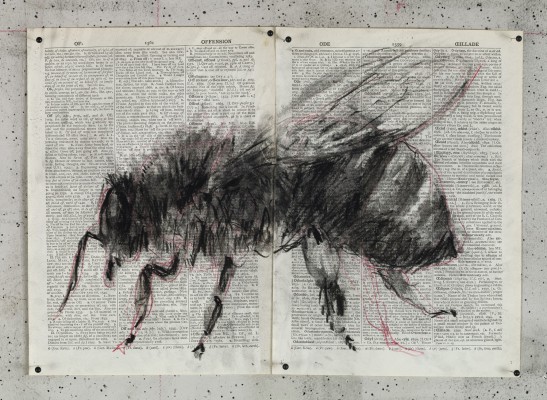 <div class="lightbox-artworktitle">Drawing for The Head & the Load (Bee)</div><div class="lightbox-artworkyear">2018</div><div class="lightbox-artworkdescription">Charcoal and red pencil on found pages</div><div class="lightbox-artworkdimension">27 x 38,5 cm</div><div class="lightbox-artworkdimension"></div><div class="lightbox-tagswithlinks"><a rel='nofollow' href='/page/1/?s=%23Charcoal'>#Charcoal</A> <a rel='nofollow' href='/page/1/?s=%23FoundPaper'>#FoundPaper</A> <a rel='nofollow' href='/page/1/?s=%23TheHead&TheLoad'>#TheHead&TheLoad</A></div>