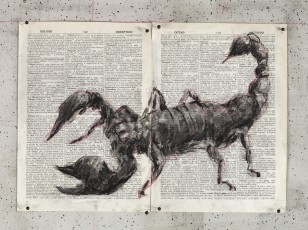 <div class="lightbox-artworktitle">Drawing for The Head & the Load (Scorpion)</div><div class="lightbox-artworkyear">2018</div><div class="lightbox-artworkdescription">Charcoal and red pencil on found pages</div><div class="lightbox-artworkdimension">27 x 38.5 cm</div><div class="lightbox-artworkdimension"></div><div class="lightbox-tagswithlinks"><a rel='nofollow' href='/page/1/?s=%23Charcoal'>#Charcoal</A> <a rel='nofollow' href='/page/1/?s=%23FoundPaper'>#FoundPaper</A> <a rel='nofollow' href='/page/1/?s=%23TheHead&TheLoad'>#TheHead&TheLoad</A></div>