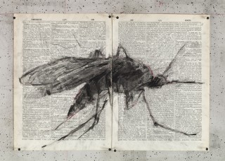 <div class="lightbox-artworktitle">Drawing for The Head & the Load (Mosquito)</div><div class="lightbox-artworkyear">2018</div><div class="lightbox-artworkdescription">Charcoal and red pencil on found pages</div><div class="lightbox-artworkdimension">27 x 38.5 cm</div><div class="lightbox-artworkdimension"></div><div class="lightbox-tagswithlinks"><a rel='nofollow' href='/page/1/?s=%23Charcoal'>#Charcoal</A> <a rel='nofollow' href='/page/1/?s=%23FoundPaper'>#FoundPaper</A> <a rel='nofollow' href='/page/1/?s=%23TheHead&TheLoad'>#TheHead&TheLoad</A></div>