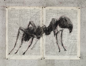 <div class="lightbox-artworktitle">Drawing for The Head & the Load (Ant)</div><div class="lightbox-artworkyear">2018</div><div class="lightbox-artworkdescription">Charcoal and red pencil on found pages</div><div class="lightbox-artworkdimension">27 x 38.5 cm</div><div class="lightbox-artworkdimension"></div><div class="lightbox-tagswithlinks"><a rel='nofollow' href='/page/1/?s=%23Charcoal'>#Charcoal</A> <a rel='nofollow' href='/page/1/?s=%23FoundPaper'>#FoundPaper</A> <a rel='nofollow' href='/page/1/?s=%23TheHead&TheLoad'>#TheHead&TheLoad</A></div>