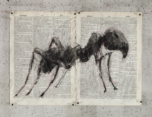 <div class="lightbox-artworktitle">Drawing for The Head & the Load (Ant)</div><div class="lightbox-artworkyear">2018</div><div class="lightbox-artworkdescription">Charcoal and red pencil on found pages</div><div class="lightbox-artworkdimension">27 x 38.5 cm</div><div class="lightbox-artworkdimension"></div><div class="lightbox-tagswithlinks"><a rel='nofollow' href='/page/1/?s=%23Charcoal'>#Charcoal</A> <a rel='nofollow' href='/page/1/?s=%23FoundPaper'>#FoundPaper</A> <a rel='nofollow' href='/page/1/?s=%23TheHead&TheLoad'>#TheHead&TheLoad</A></div>
