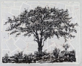 <div class="lightbox-artworktitle">Untitled (Tree on Grassy Slope)</div><div class="lightbox-artworkyear">2019</div><div class="lightbox-artworkdescription">Indian ink and red pencil on found pages </div><div class="lightbox-artworkdimension">140 x 200 cm</div><div class="lightbox-artworkdimension"></div><div class="lightbox-tagswithlinks"><a rel='nofollow' href='/page/1/?s=%23Ink'>#Ink</A> <a rel='nofollow' href='/page/1/?s=%23FoundPaper'>#FoundPaper</A> <a rel='nofollow' href='/page/1/?s=%23Tree'>#Tree</A> <a rel='nofollow' href='/page/1/?s=%23WaitingForTheSibyl'>#WaitingForTheSibyl</A></div>