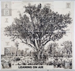 <div class="lightbox-artworktitle">Untitled (Leaning on Air)</div><div class="lightbox-artworkyear">2020</div><div class="lightbox-artworkdescription">Ink wash on hemp and sisal fibre Phumani handmade paper, mounted on raw canvas</div><div class="lightbox-artworkdimension">290 x 330 cm</div><div class="lightbox-artworkdimension"></div><div class="lightbox-tagswithlinks"><a rel='nofollow' href='/page/1/?s=%23Ink'>#Ink</A> <a rel='nofollow' href='/page/1/?s=%23Paper'>#Paper</A> <a rel='nofollow' href='/page/1/?s=%23Tree'>#Tree</A> <a rel='nofollow' href='/page/1/?s=%23Text'>#Text</A> <a rel='nofollow' href='/page/1/?s=%23WaitingForTheSibyl'>#WaitingForTheSibyl</A></div>