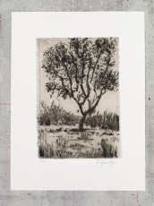 <div class="lightbox-artworktitle">Tree</div><div class="lightbox-artworkyear">2019</div><div class="lightbox-artworkdescription">Coffee-lift, aquatint and drypoint on paper</div><div class="lightbox-artworkdimension">43 x 32 cm</div><div class="lightbox-artworkdimension">Edition of 40</div><div class="lightbox-tagswithlinks"><a rel='nofollow' href='/page/1/?s=%23Tree'>#Tree</A> <a rel='nofollow' href='/page/1/?s=%23Edition'>#Edition</A> <a rel='nofollow' href='/page/1/?s=%23Etching'>#Etching</A> <a rel='nofollow' href='/page/1/?s=%23WaitingForTheSibyl'>#WaitingForTheSibyl</A></div>