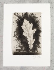<div class="lightbox-artworktitle">Leaf</div><div class="lightbox-artworkyear">2019</div><div class="lightbox-artworkdescription">Coffee-lift aquatint with drypoint on paper </div><div class="lightbox-artworkdimension">43 x 32 cm</div><div class="lightbox-artworkdimension">Edition of 40</div><div class="lightbox-tagswithlinks"><a rel='nofollow' href='/page/1/?s=%23Edition'>#Edition</A> <a rel='nofollow' href='/page/1/?s=%23Etching'>#Etching</A> <a rel='nofollow' href='/page/1/?s=%23WaitingForTheSibyl'>#WaitingForTheSibyl</A></div>