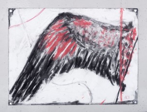 <div class="lightbox-artworktitle">Drawing for Studio Life, Episode 5 (Wing)</div><div class="lightbox-artworkyear">2021</div><div class="lightbox-artworkdescription">Charcoal, pastel and red pencil on paper </div><div class="lightbox-artworkdimension">30 x 40 cm</div><div class="lightbox-artworkdimension"></div><div class="lightbox-tagswithlinks"><A rel='nofollow' href='/page/1/?s=%23Charcoal'>#Charcoal</A> <A rel='nofollow' href='/page/1/?s=%23Paper'>#Paper</A> <A rel='nofollow' href='/page/1/?s=%23StudioLife'>#StudioLife</A> <A rel='nofollow' href='/page/1/?s=%23Pencil'>#Pencil</A> <A rel='nofollow' href='/page/1/?s=%23Pastel'>#Pastel</A></div>