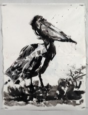 <div class="lightbox-artworktitle">Drawing for Studio Life, Episode 9 (Pelican, with swatches)</div><div class="lightbox-artworkyear">2022</div><div class="lightbox-artworkdescription">Indian ink and Coloured pencil on Phumani handmade paper</div><div class="lightbox-artworkdimension"></div><div class="lightbox-artworkdimension"></div><div class="lightbox-tagswithlinks"></div>