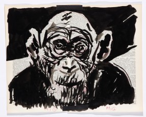 <div class="lightbox-artworktitle">Untitled (Chimpanzee)</div><div class="lightbox-artworkyear">2013</div><div class="lightbox-artworkdescription">Indian Ink on pages from various Shorter Oxford English Dictionary on Historical Principles, Third Edition Revised and Edited by C.T. Onions 1930 - 1950 </div><div class="lightbox-artworkdimension">27 x 34 cm</div><div class="lightbox-artworkdimension"></div><div class="lightbox-tagswithlinks"><a rel='nofollow' href='/page/1/?s=%23Ink'>#Ink</A> <a rel='nofollow' href='/page/1/?s=%23FoundPaper'>#FoundPaper</A> <a rel='nofollow' href='/page/1/?s=%23Lulu'>#Lulu</A></div>