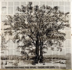 <div class="lightbox-artworktitle">Whichever Page you Open</div><div class="lightbox-artworkyear">2013</div><div class="lightbox-artworkdescription">Indian ink on Universal Technological Dictionary pages</div><div class="lightbox-artworkdimension"> 205 x 210 cm</div><div class="lightbox-artworkdimension"></div><div class="lightbox-tagswithlinks"><a rel='nofollow' href='/page/1/?s=%23Ink'>#Ink</A> <a rel='nofollow' href='/page/1/?s=%23FoundPaper'>#FoundPaper</A> <a rel='nofollow' href='/page/1/?s=%23Tree'>#Tree</A> <a rel='nofollow' href='/page/1/?s=%23Text'>#Text</A></div>