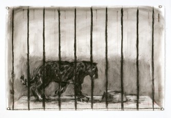 <div class="lightbox-artworktitle">Drawing for the film Zeno Writing (Pacing Panther)</div><div class="lightbox-artworkyear">2001</div><div class="lightbox-artworkdescription">Charcoal on paper</div><div class="lightbox-artworkdimension"></div><div class="lightbox-artworkdimension"></div><div class="lightbox-tagswithlinks"><A rel='nofollow' href='/page/1/?s=%23Charcoal'>#Charcoal</A> <A rel='nofollow' href='/page/1/?s=%23Paper'>#Paper</A> <A rel='nofollow' href='/page/1/?s=%23ZenoWriting'>#ZenoWriting</A></div>